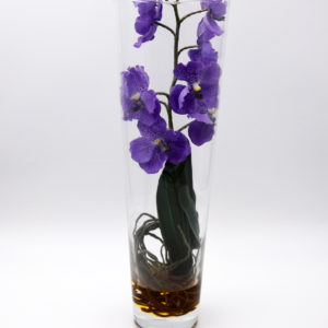 Pompes Funèbres Grosso : Orchidée vase