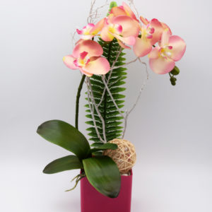 Pompes Funèbres Grosso : Pot Orchidée rose