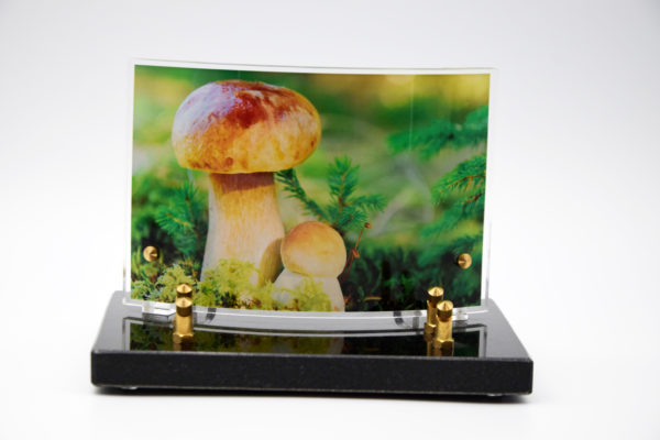 Pompes Funèbres Grosso : Plaque altu galbe champignon