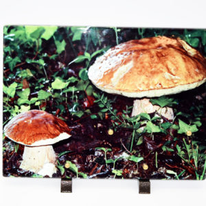 Pompes Funèbres Grosso : Plaque strato champignons