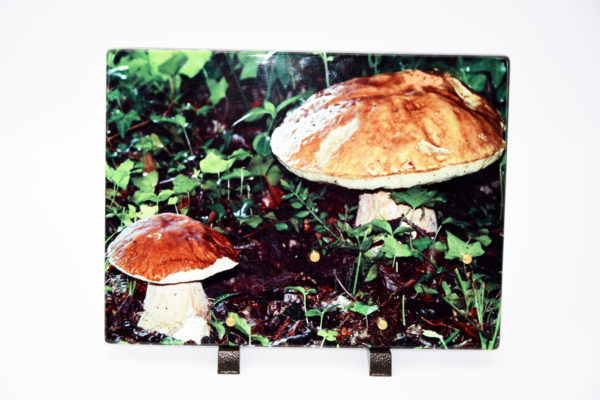 Pompes Funèbres Grosso : Plaque strato champignons
