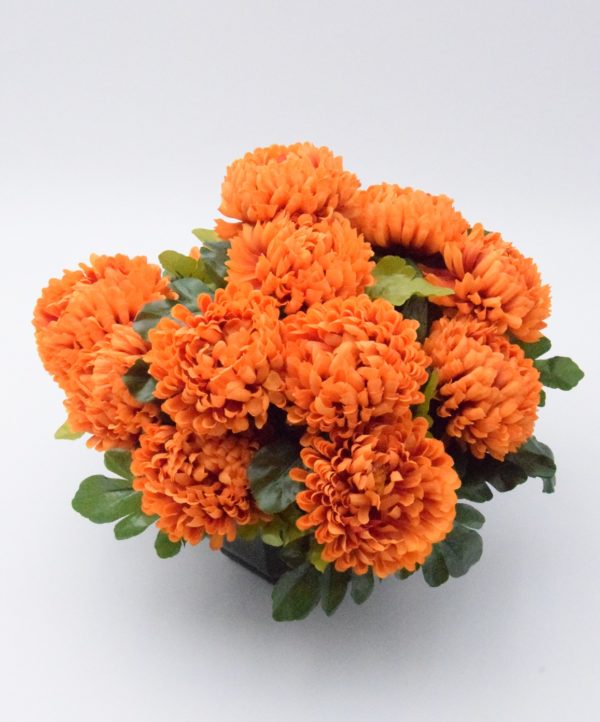 Pompes Funèbres Grosso : Chrysanthème boule orange