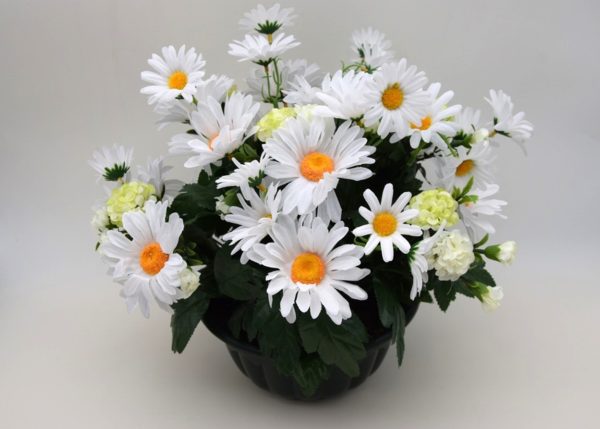 Pompes Funebres Grosso : Coupe marguerites blanc (A)