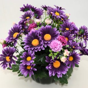 pompes-funebres-grosso-article-funeraire-Coupe-marguerites-violet-(DPompes funébres GrossoCoupe marguerites violet (D)