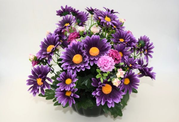 pompes-funebres-grosso-article-funeraire-Coupe-marguerites-violet-(DPompes funébres GrossoCoupe marguerites violet (D)