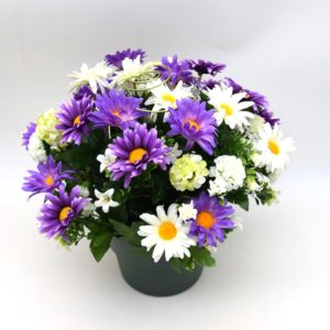 Pompes Funèbres Grosso:Pot marguerites violet (C)