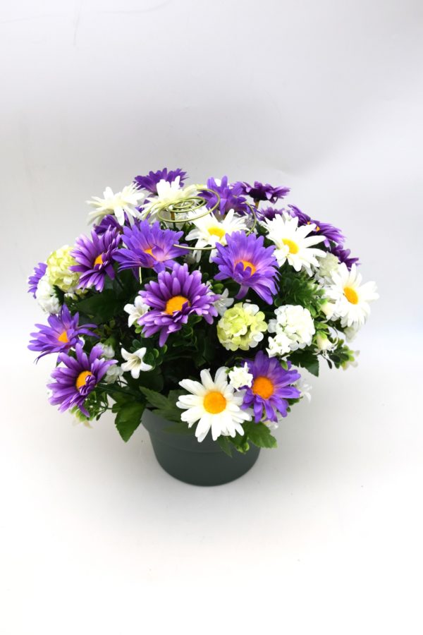 Pompes Funèbres Grosso:Pot marguerites violet (C)