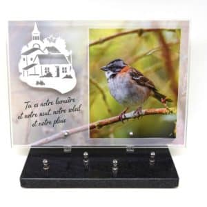Pompes Funèbres Grosso : Plaque altu 25x35 motif oiseau inox village