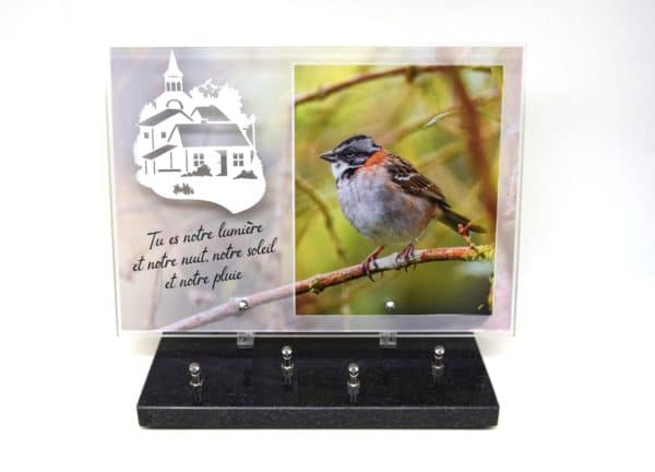 Pompes Funèbres Grosso : Plaque altu 25x35 motif oiseau inox village