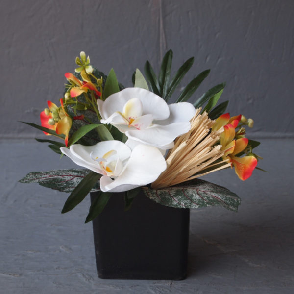 Pompes Funèbres Grosso :Compo cube orchidées blanc