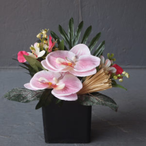 Pompes Funèbres Grosso Compo cube orchidées rose
