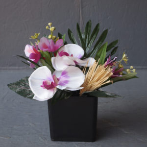 Pompes Funèbres Grosso : Compo cube orchidées violine