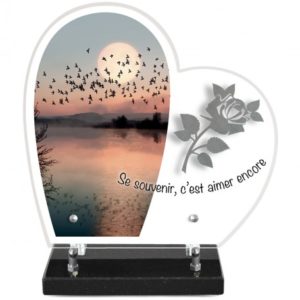 Pompes Funèbres Grosso : Plaque altu coeur sur socle motif envol inox rose 28x27cm