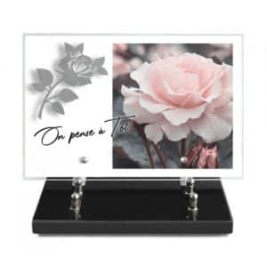 Pompes Funèbres Grosso : Plaque imprimée 20X30CM motif inox rose