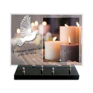 Pompes Funèbres Grosso : Plaque imprimee 25x35cm Motif inox blanc colombe