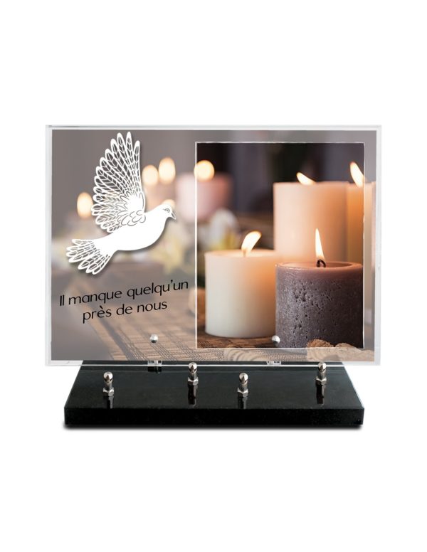 Pompes Funèbres Grosso : Plaque imprimee 25x35cm Motif inox blanc colombe