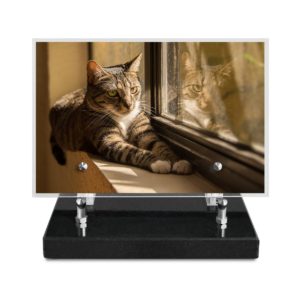 Pompes funèbres grosso : Plaque imprimée 15X22.5cm Animaux chat