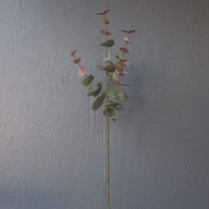 Pompes Funèbres Grosso : Branche eucalyptus rose vert